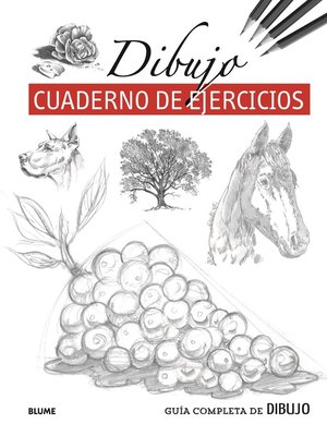 cover image of Guía completa de dibujo (cuaderno ejercicios)